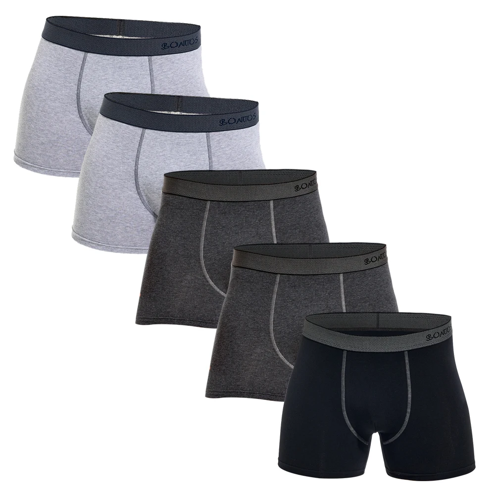 B19 5pcs-6