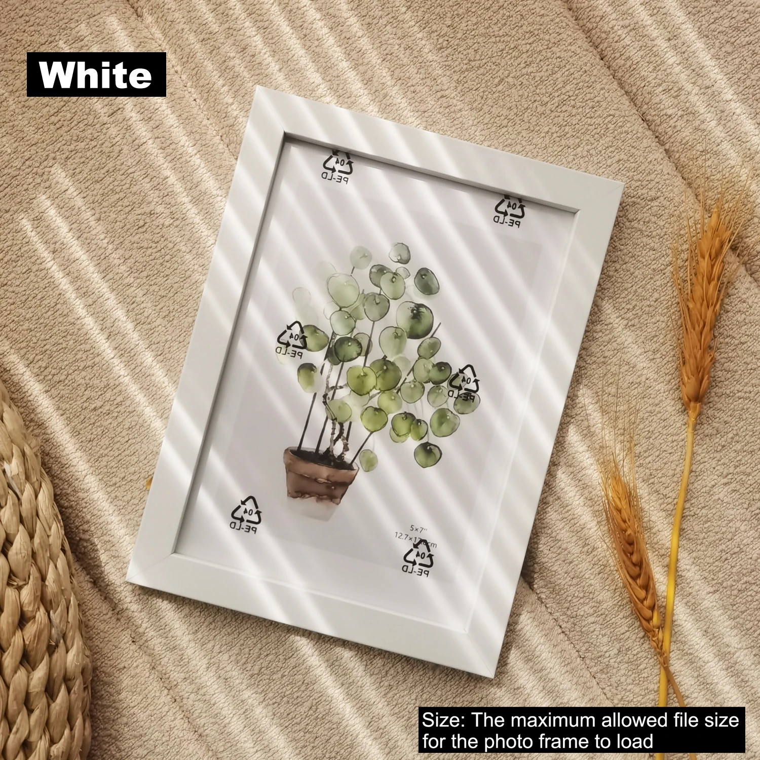 White Frame