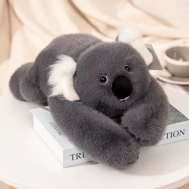 koala-65cm
