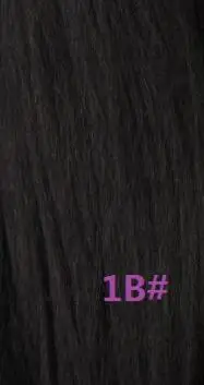 #1B