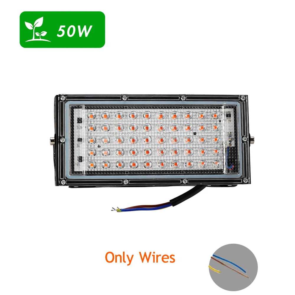 50W ( NO Plug )