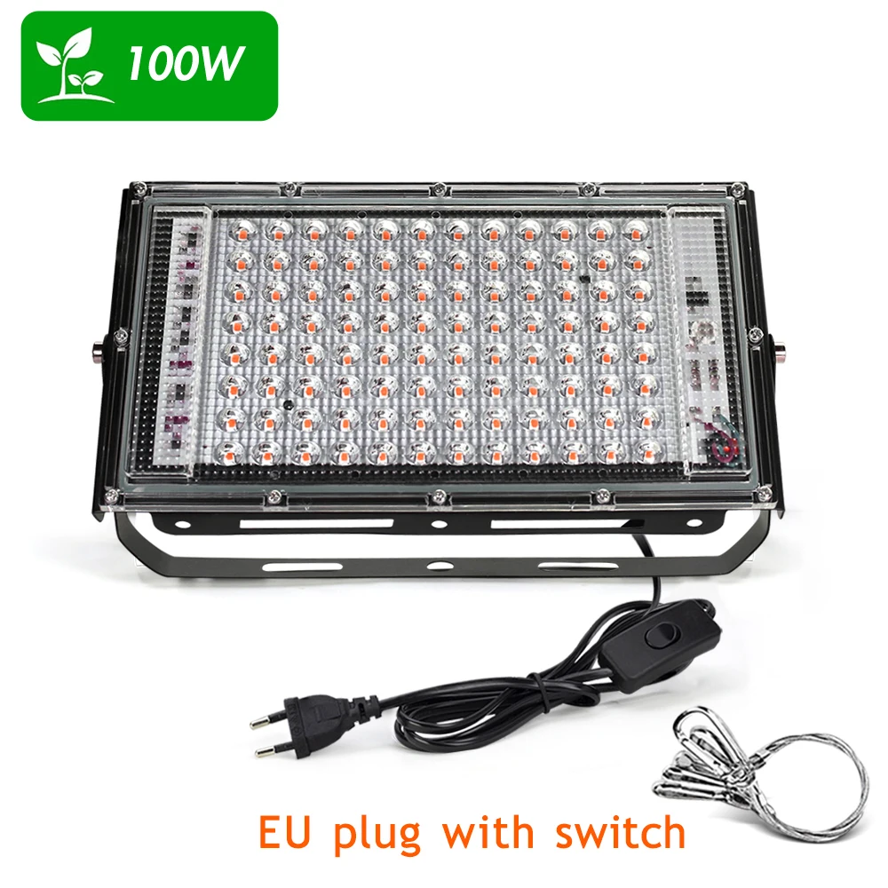 100W ( EU Plug )