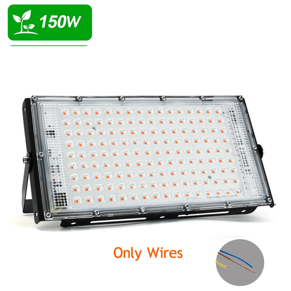 150W ( NO Plug )