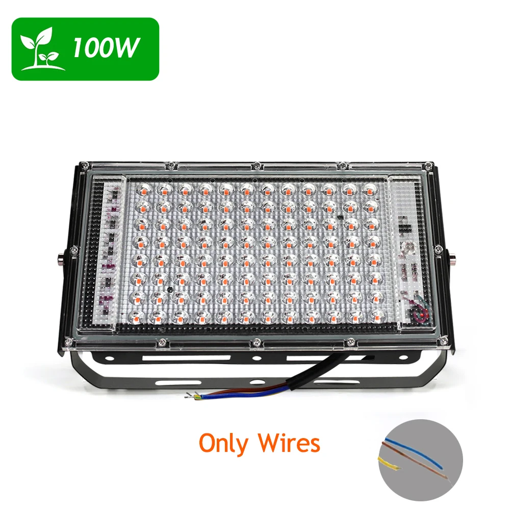 100W ( NO Plug )