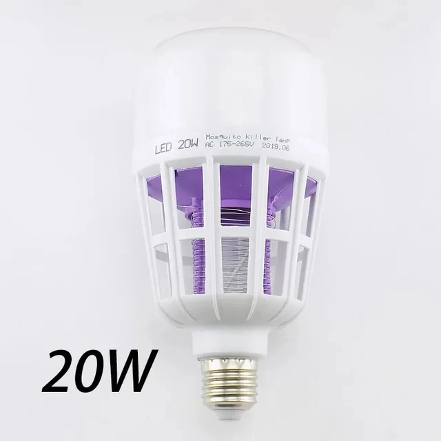 20W