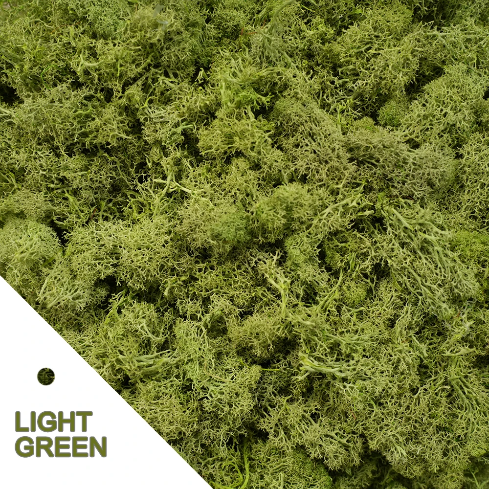 Light Green