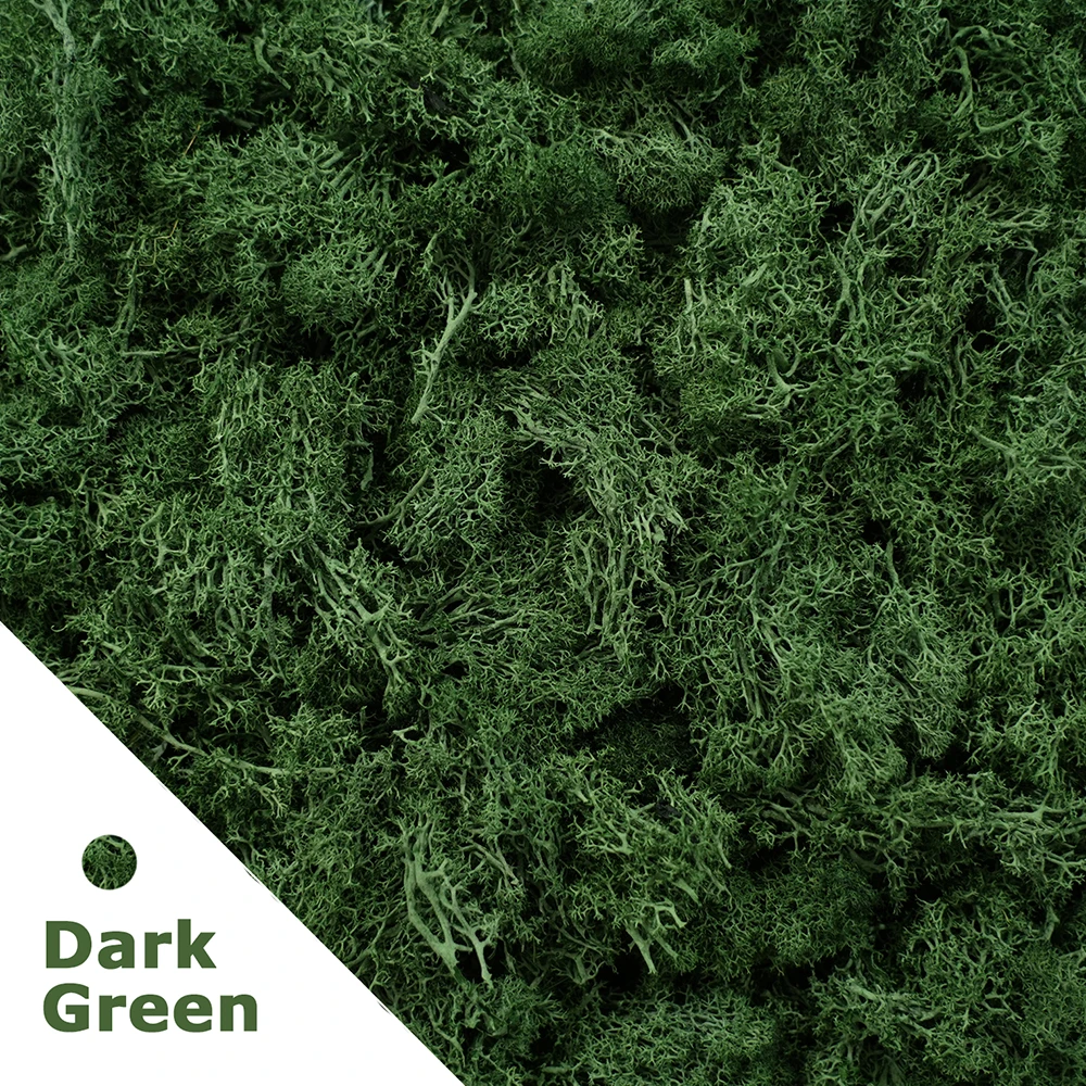 Deep Green