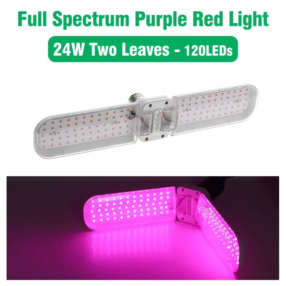 24W purple-red light