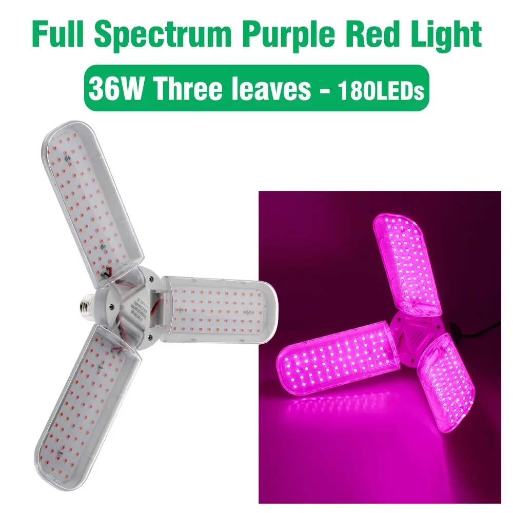 36W purple-red light