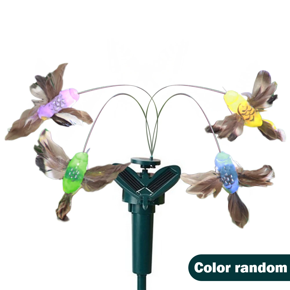 E Bird