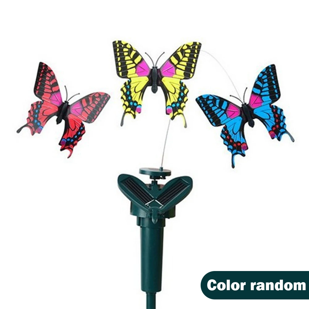 F Butterfly
