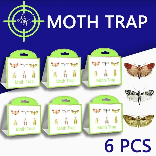 6PCS