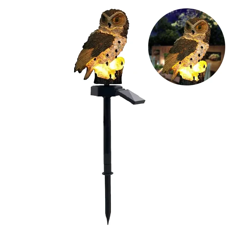 Brown Owl