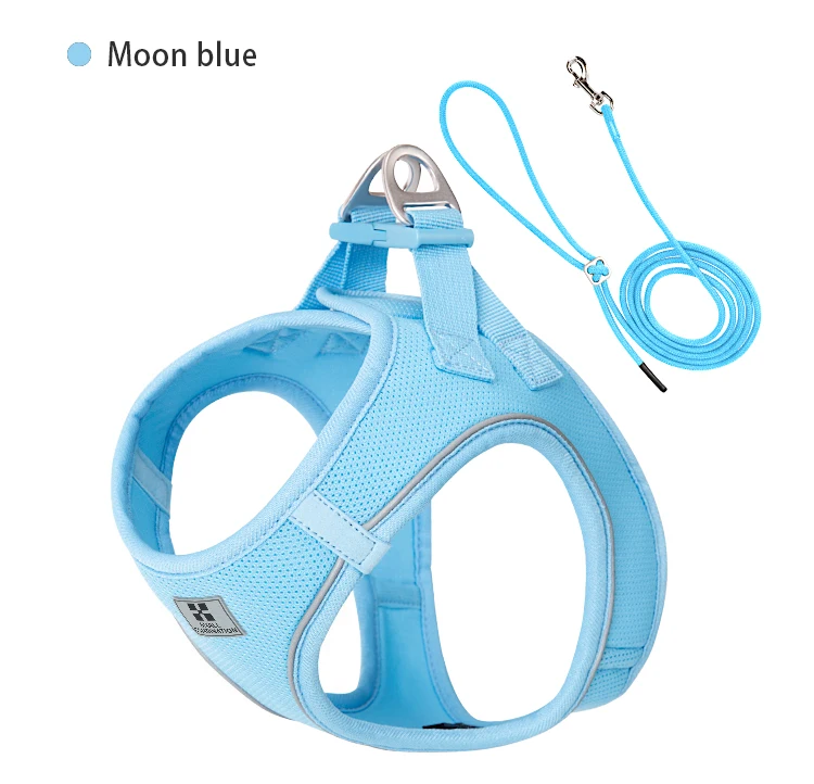 Moon Blue