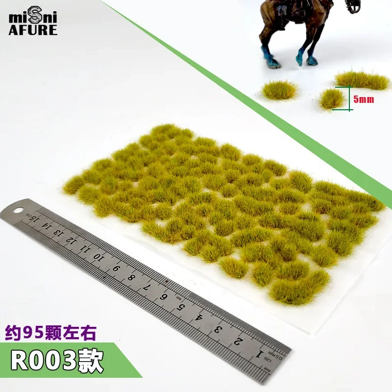 R003