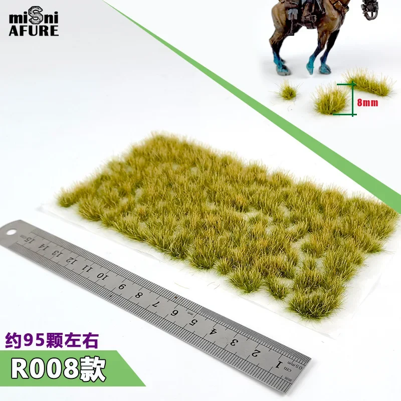 R008