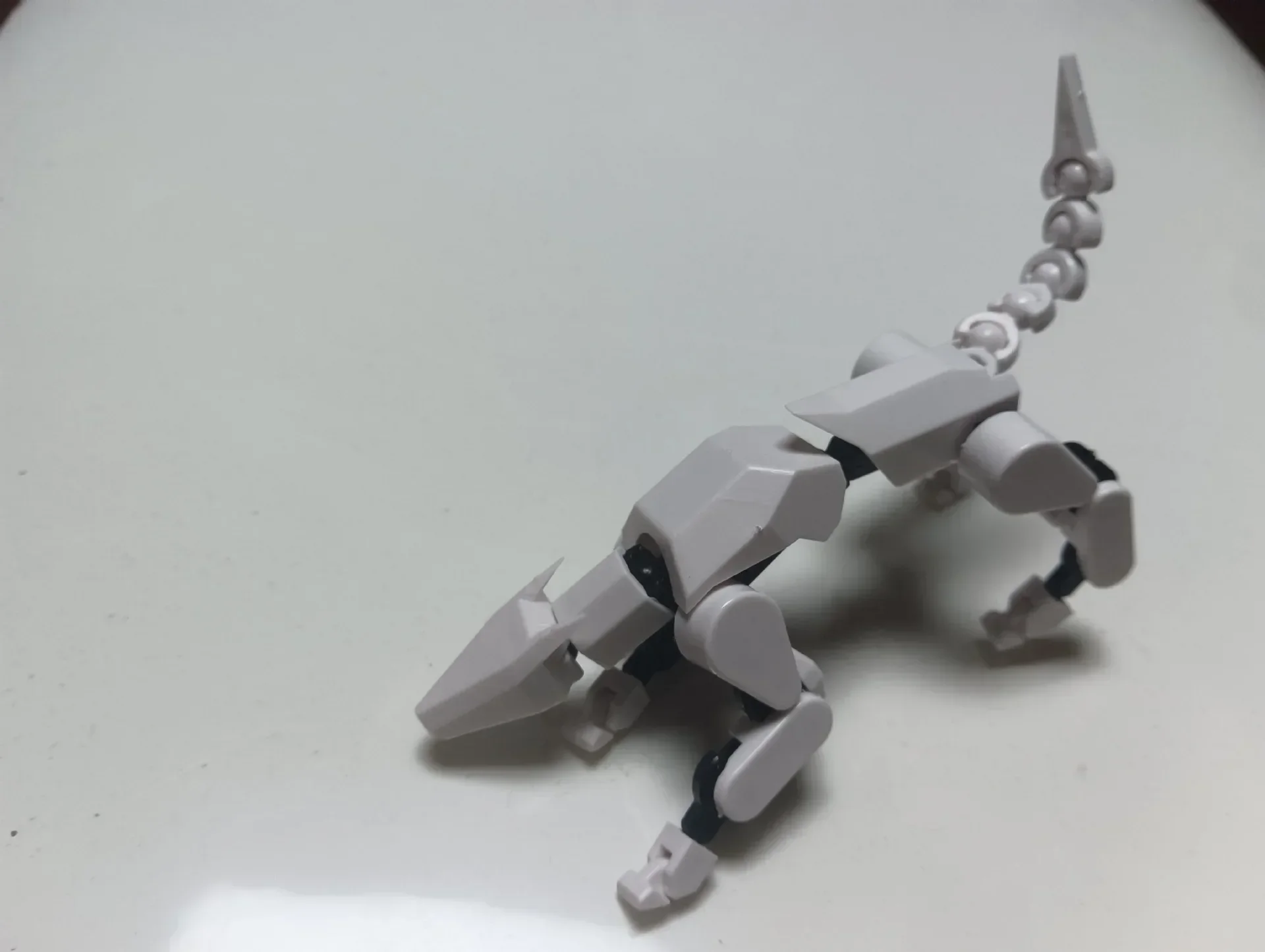 white dog