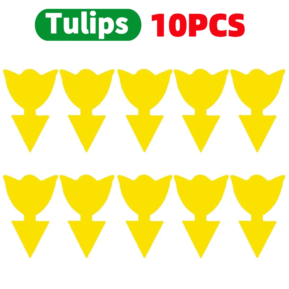 10PCS tulips