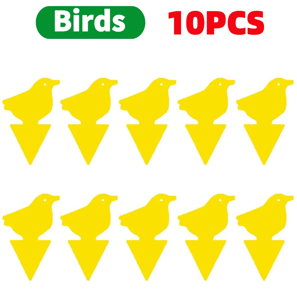 10PCS Birds
