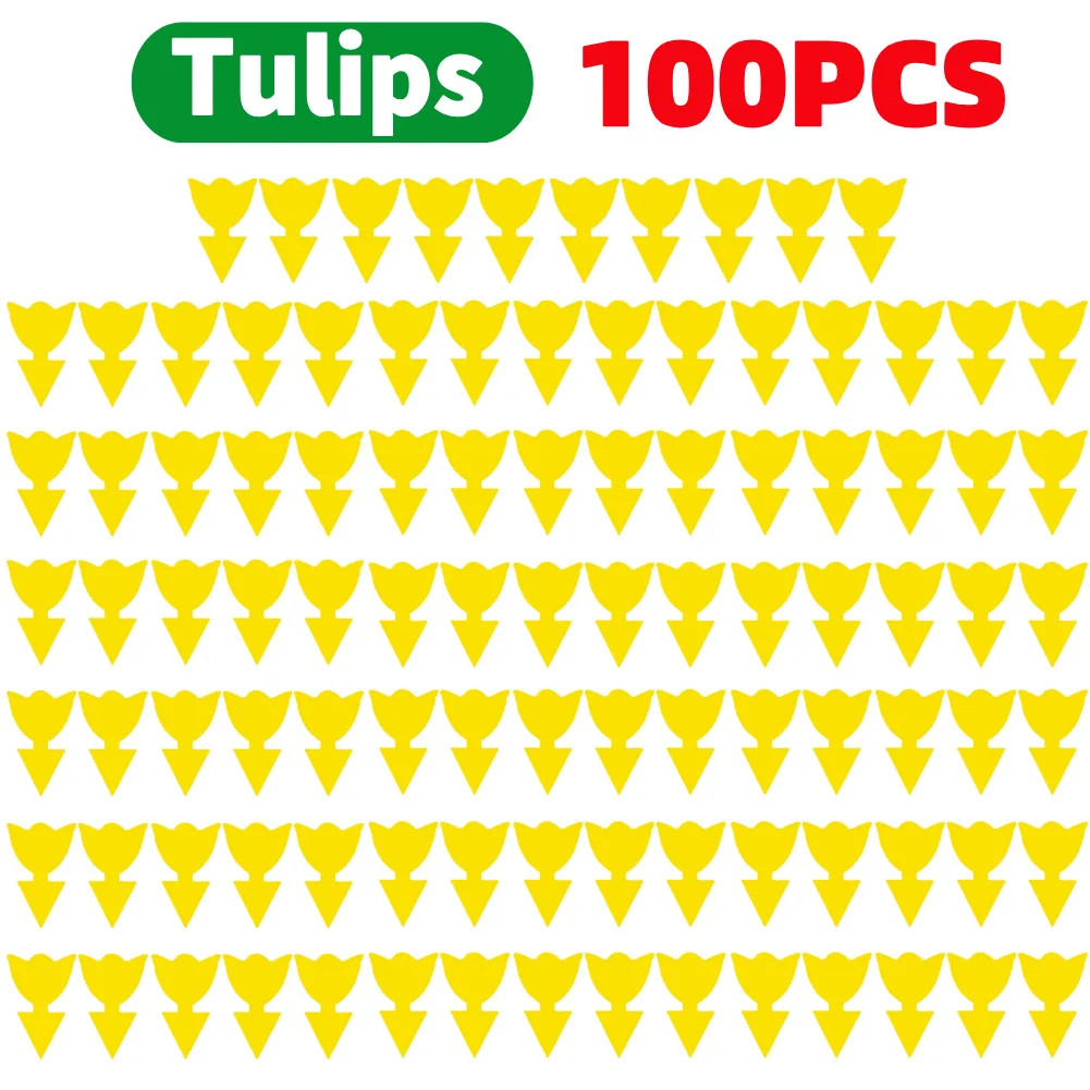 100PCS tulips