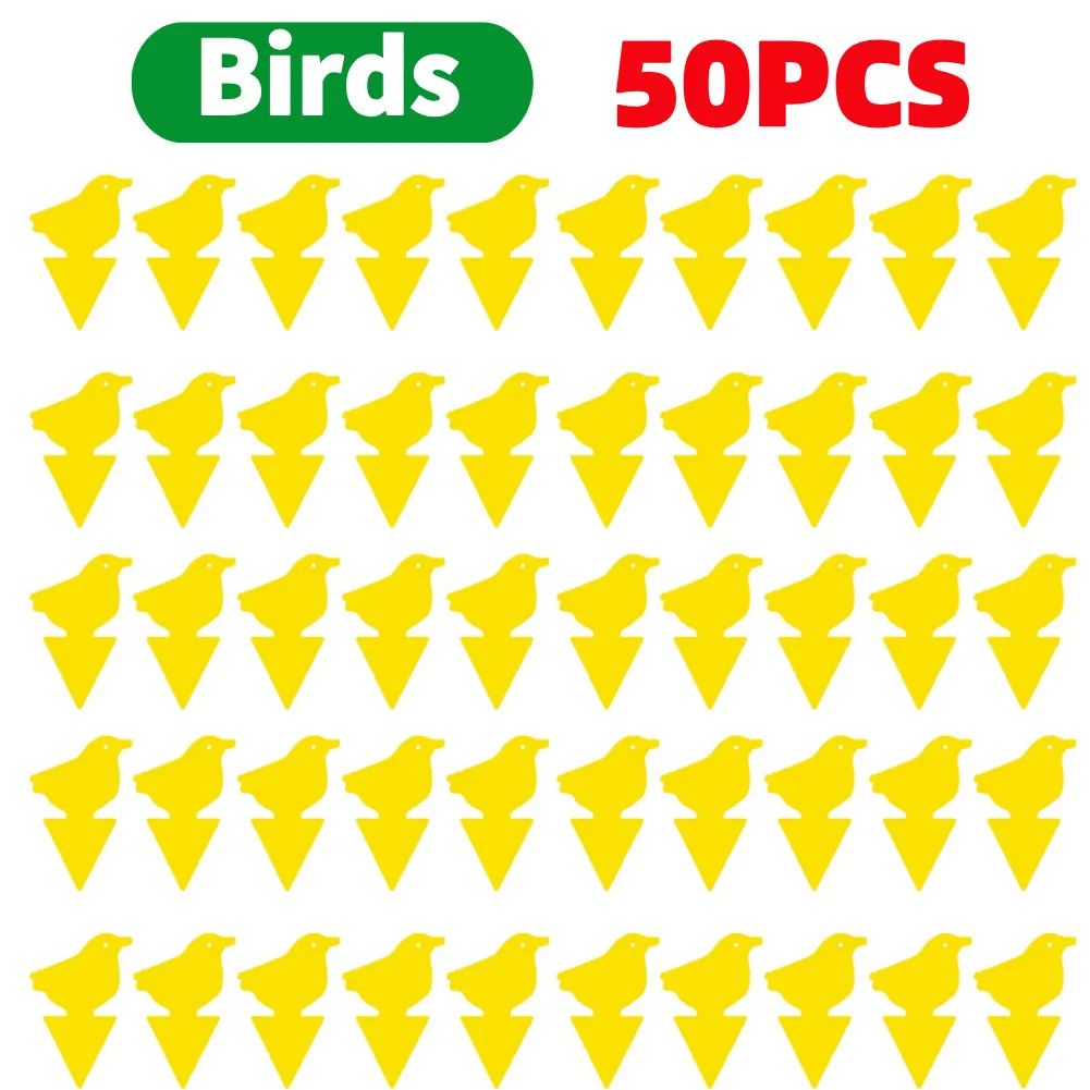 50PCS Birds