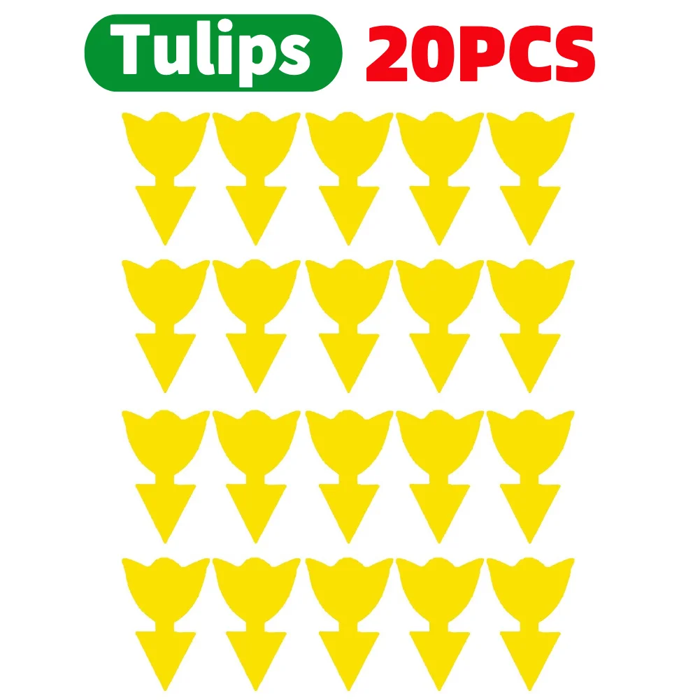 20PCS tulips