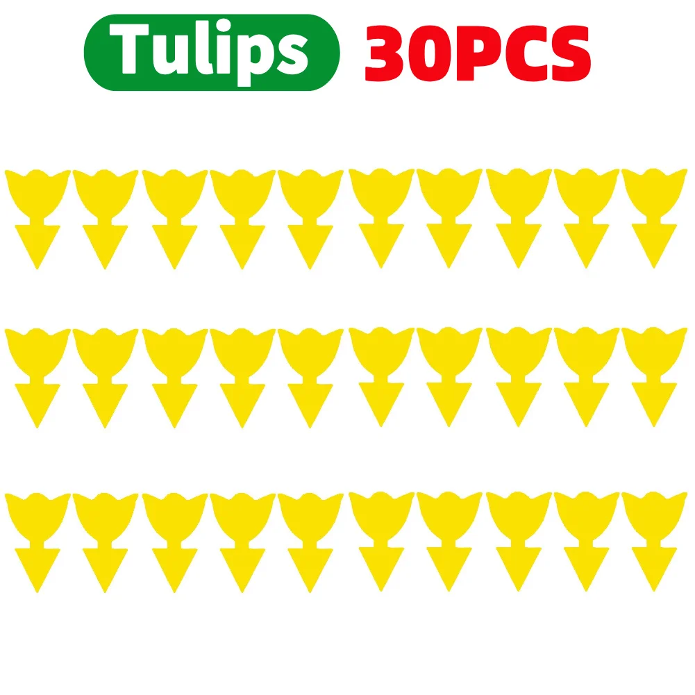 30PCS tulips