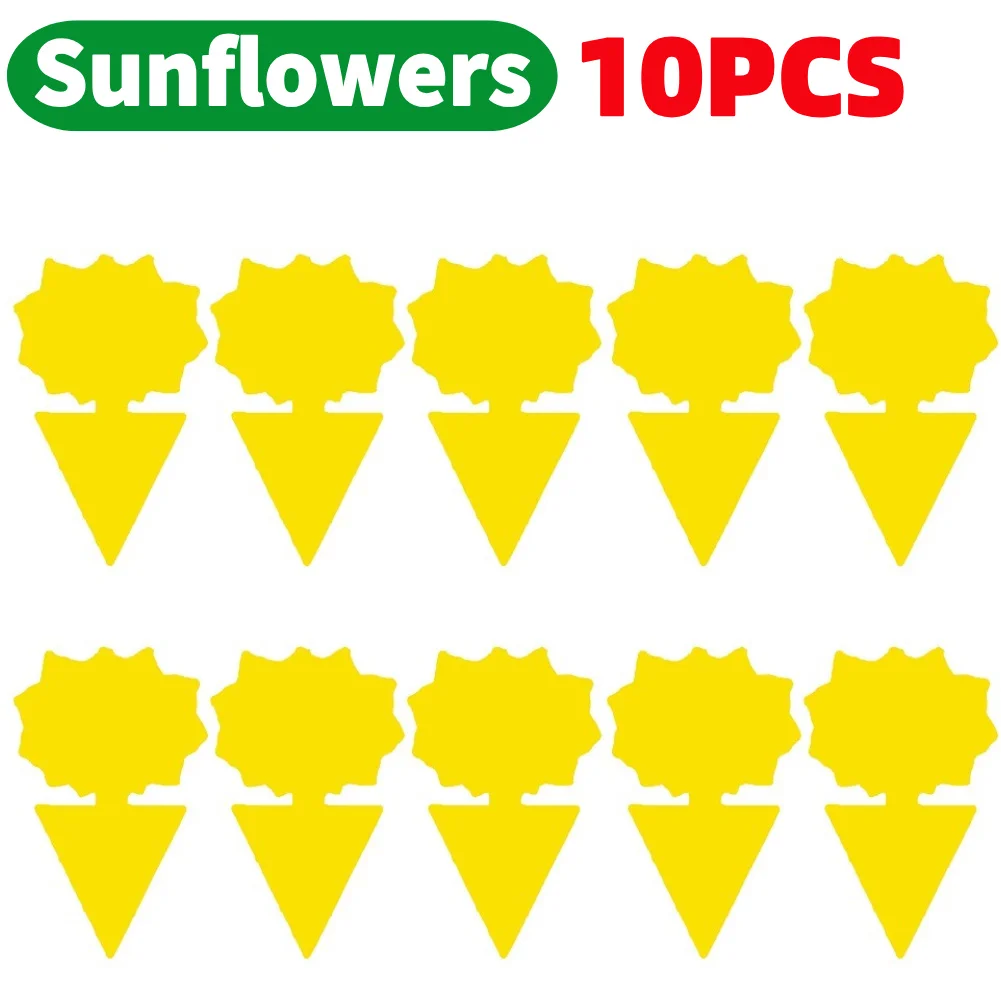 10PCS sunflowers