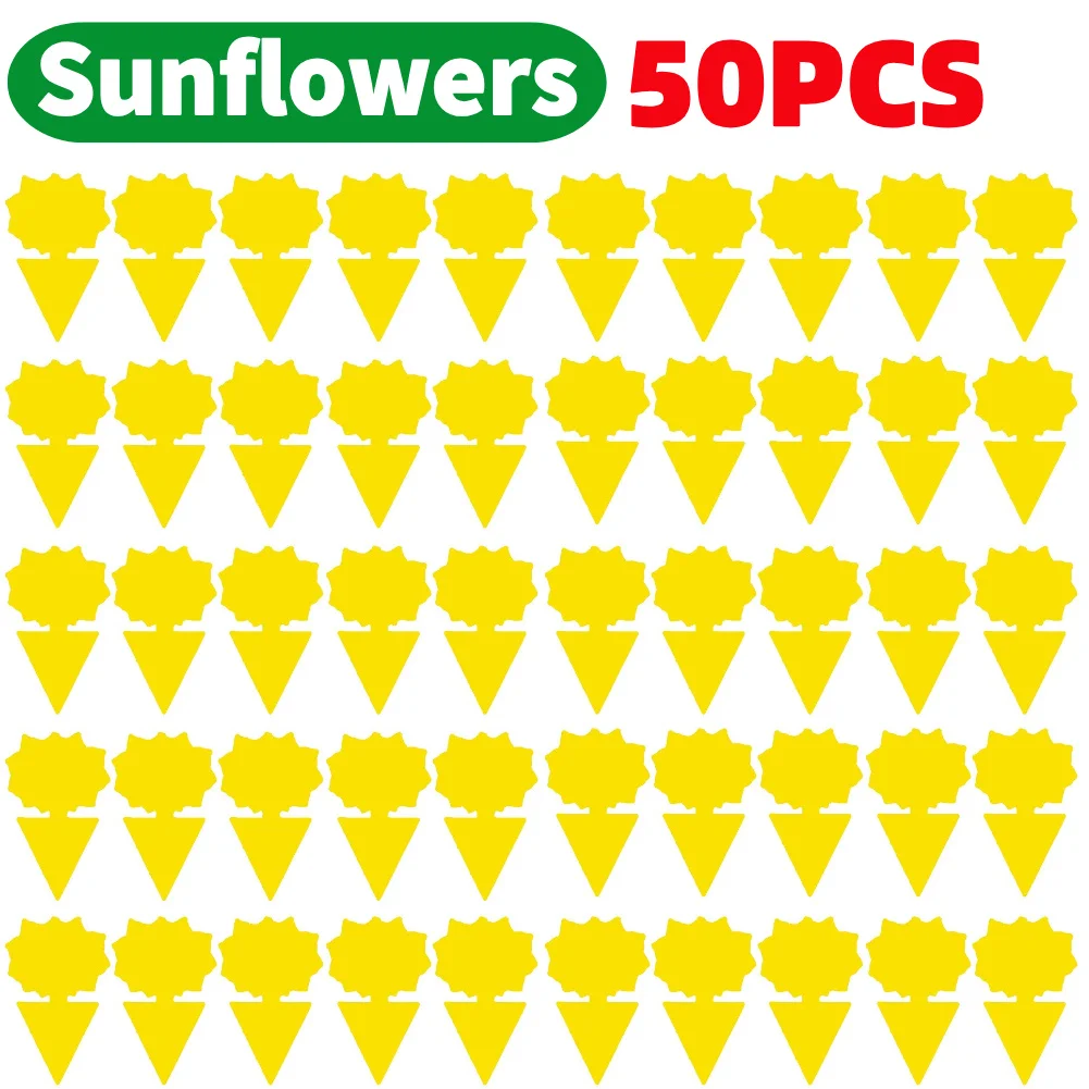 50PCS sunflowers