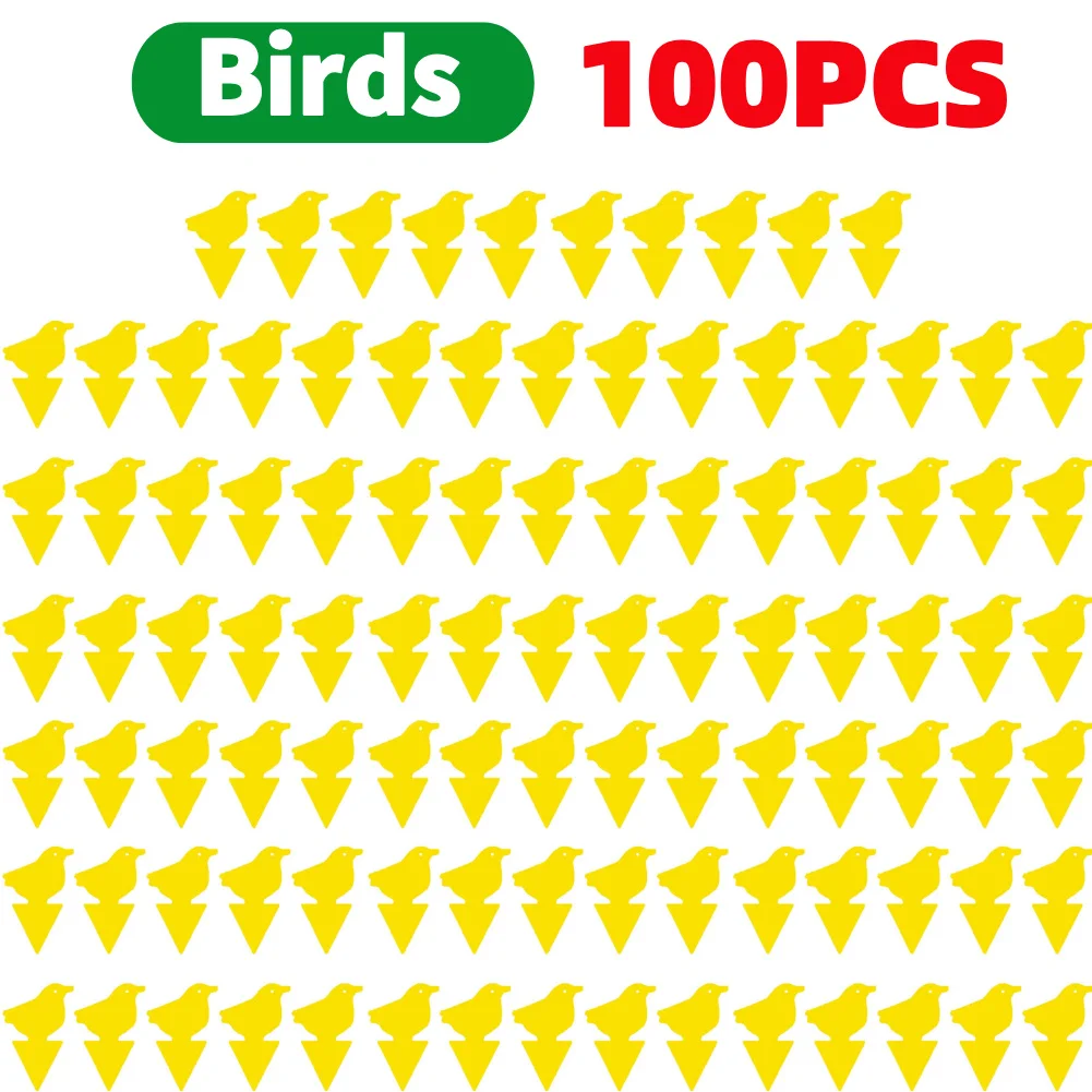 100PCS Birds