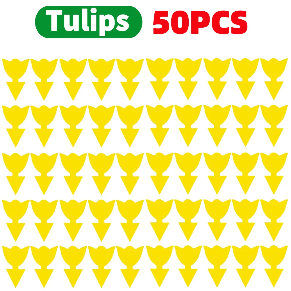 50PCS tulips