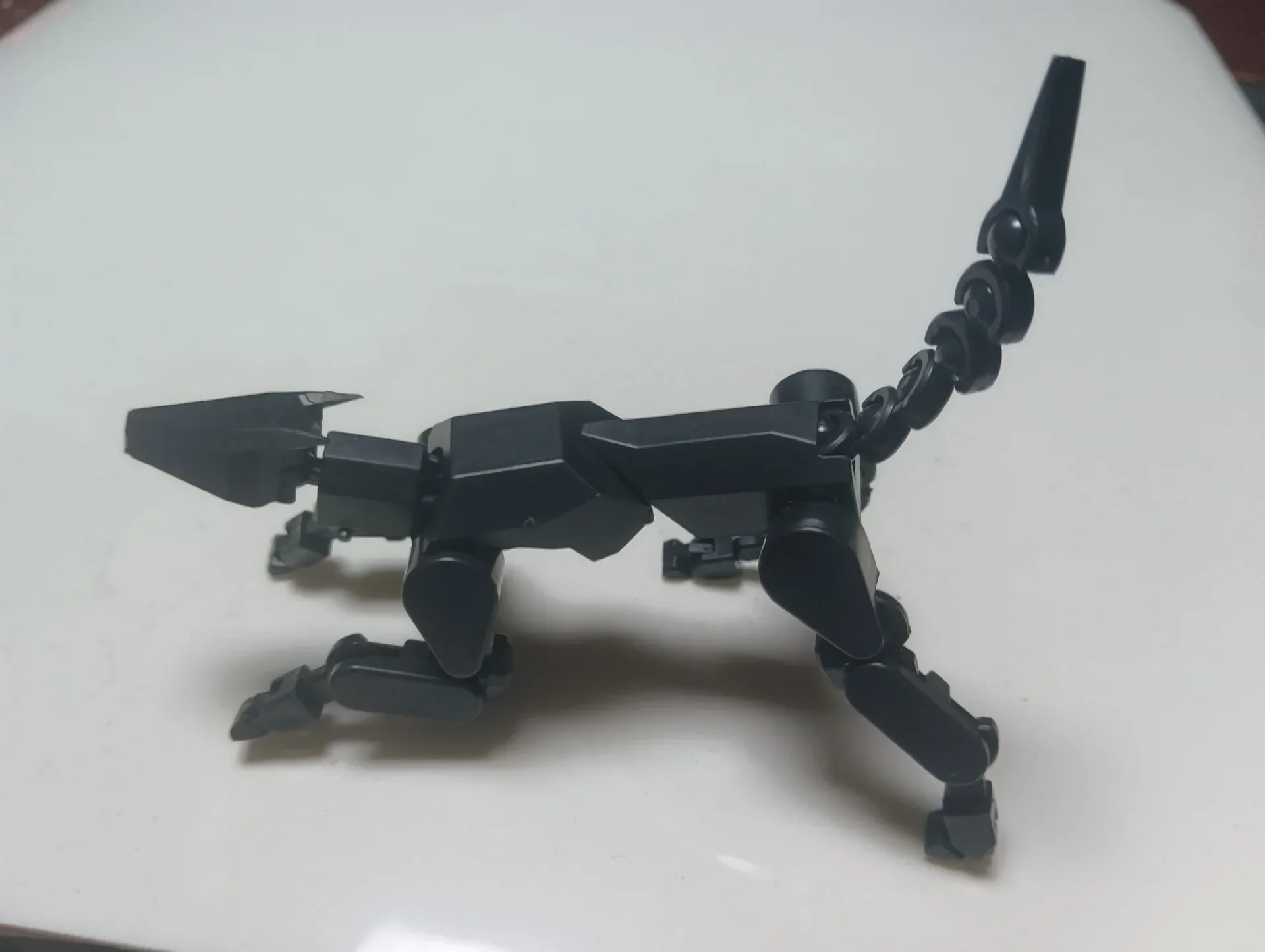 black dog