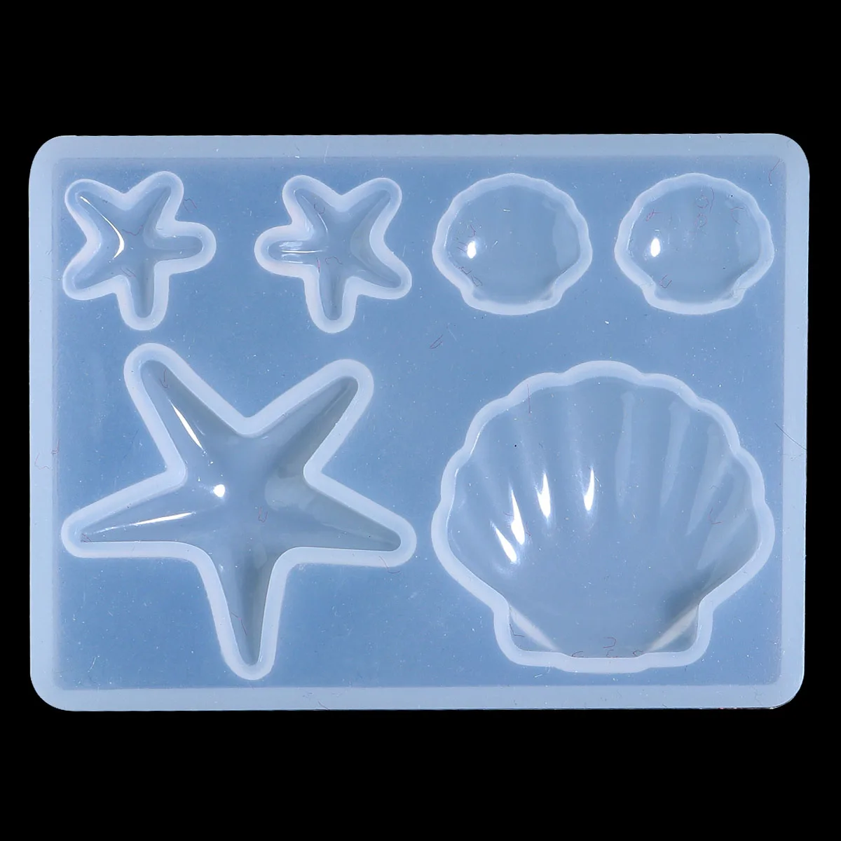 shell 8x6cm