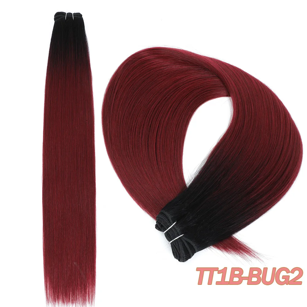 T1B-Bug2