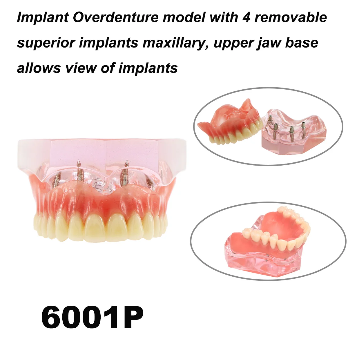 M6001 Pink