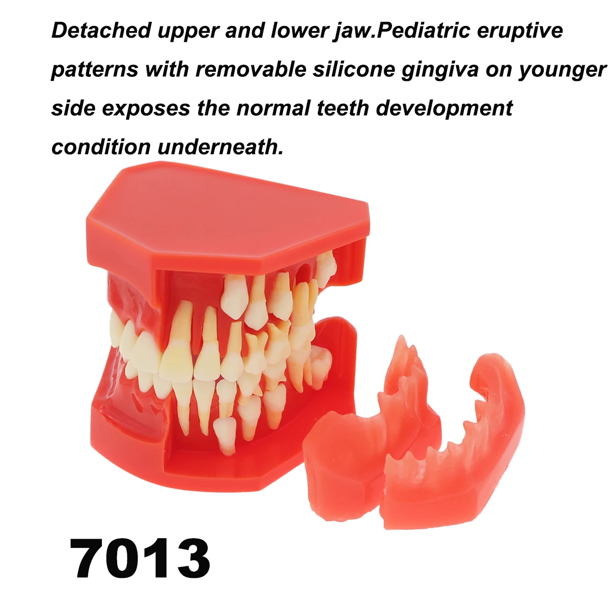 M7013