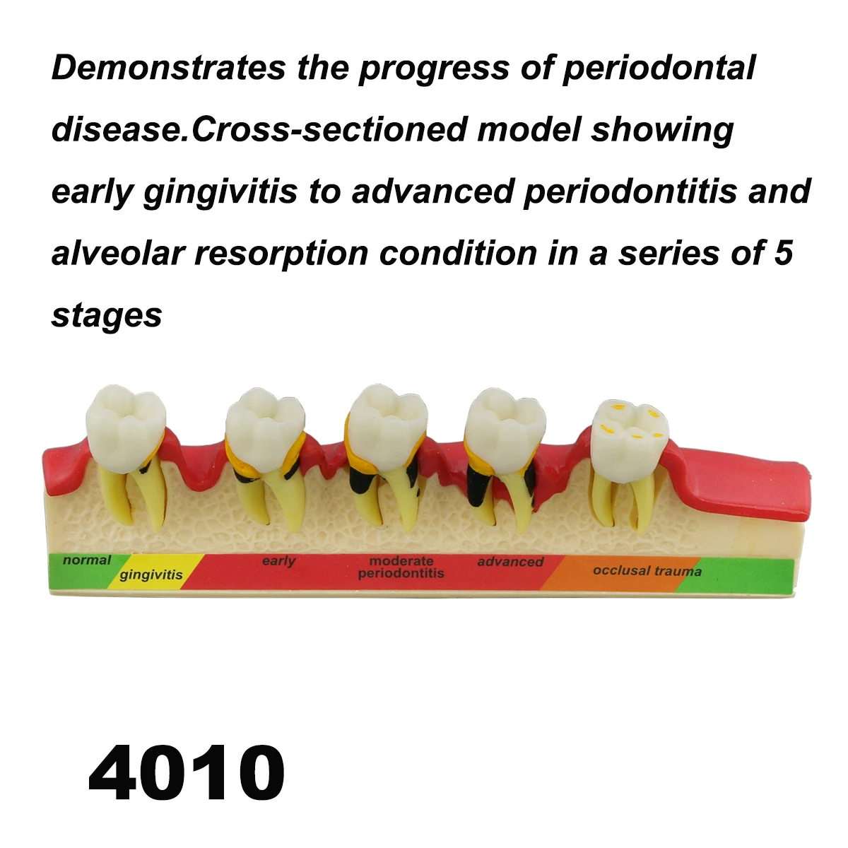 M4010