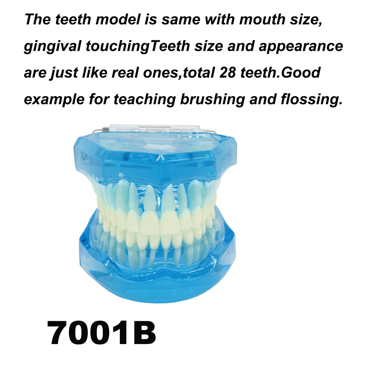 M7001 Blue