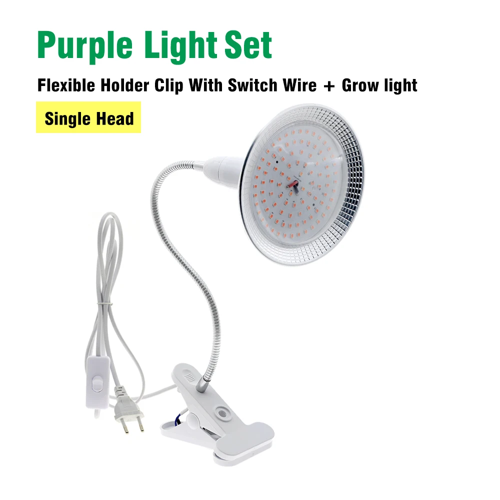 Purple Red 1 clip