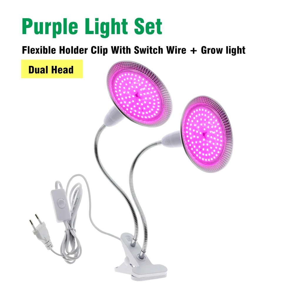 Purple Red 2 clip