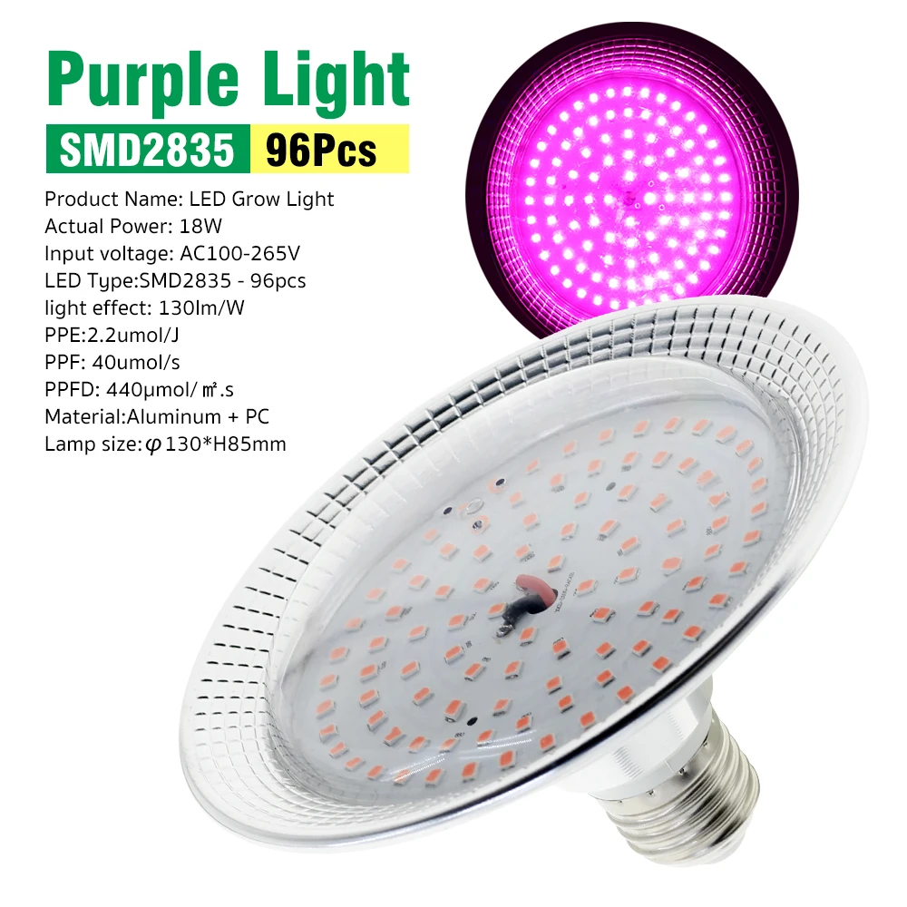 Purple Red Light