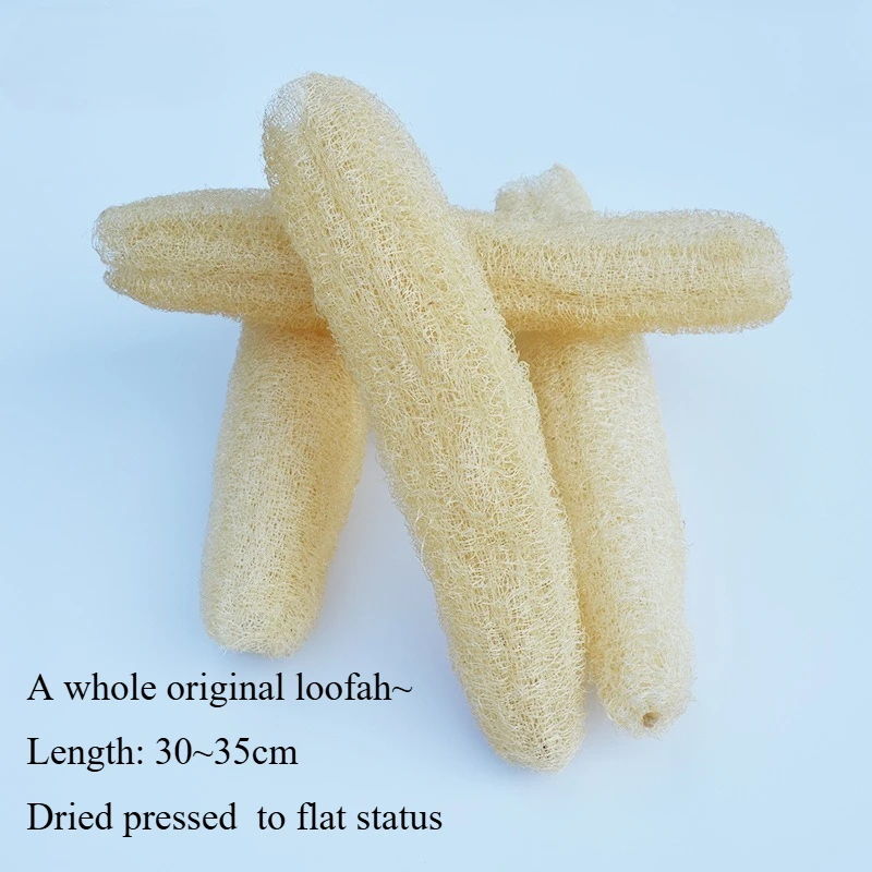 Length 30 to 35cm