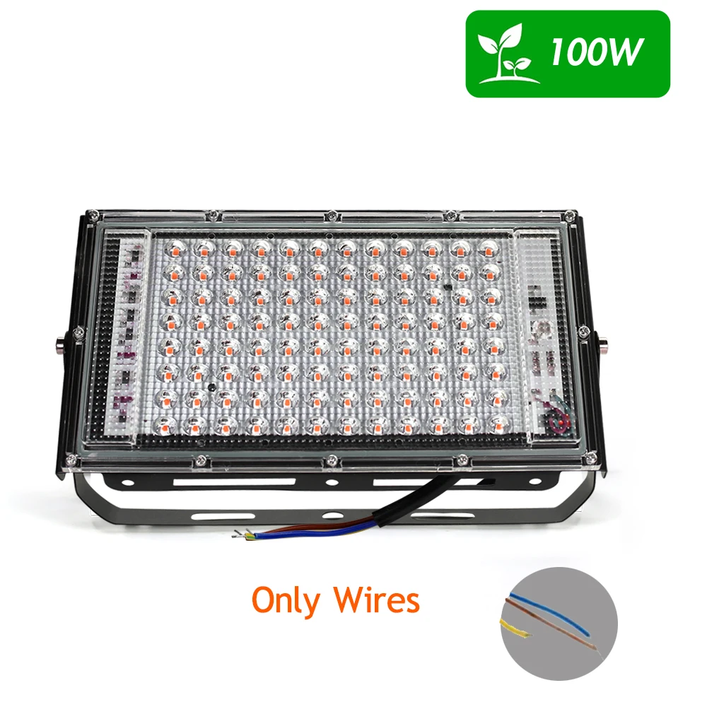 Wires Type 100W