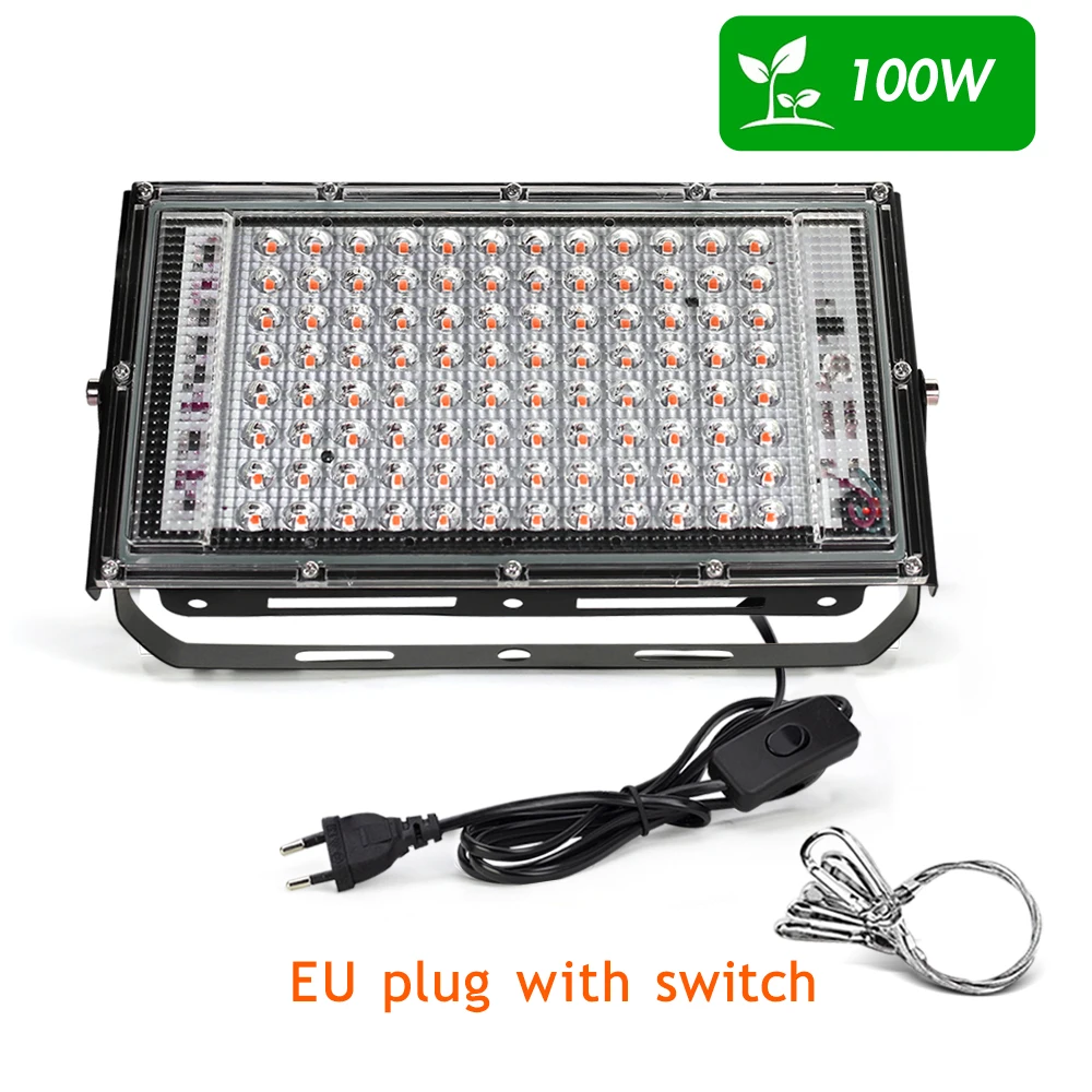 100W With EU plug
