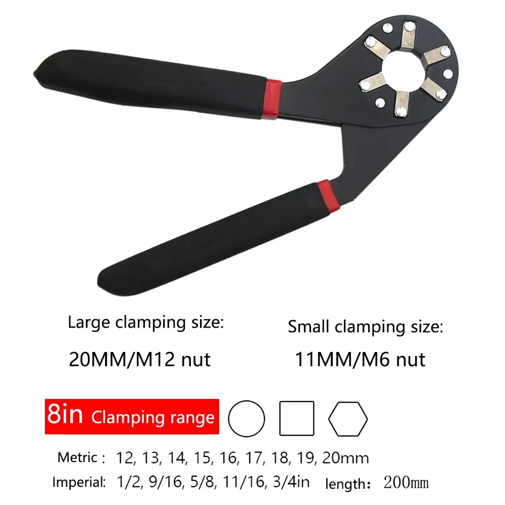 8 inch