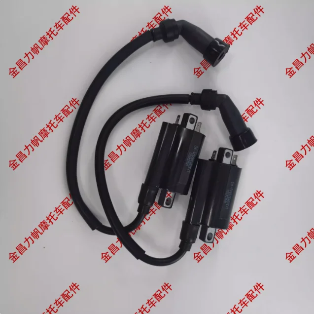 2pcs coil