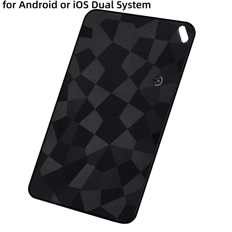 Dual system