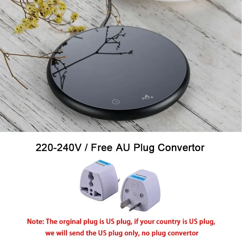 AU Plug Convertor
