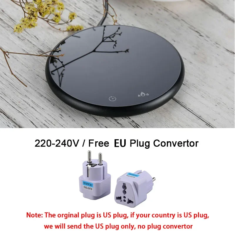 plug Convertor