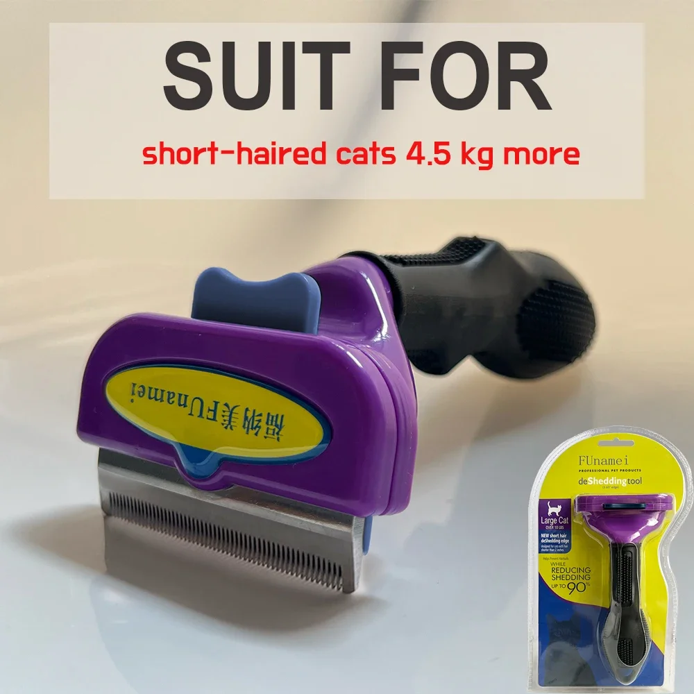 (M)Short hair cats